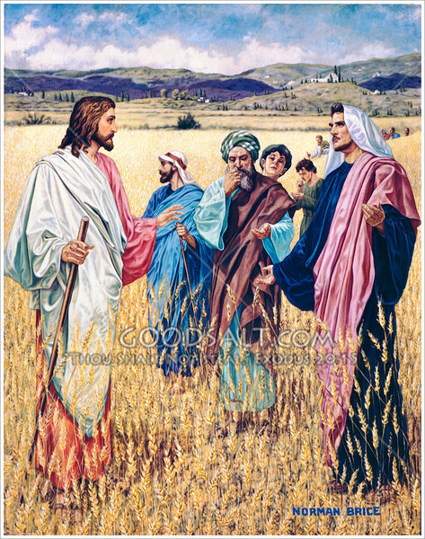 jesus-with-disciples-GoodSalt-pppas0345