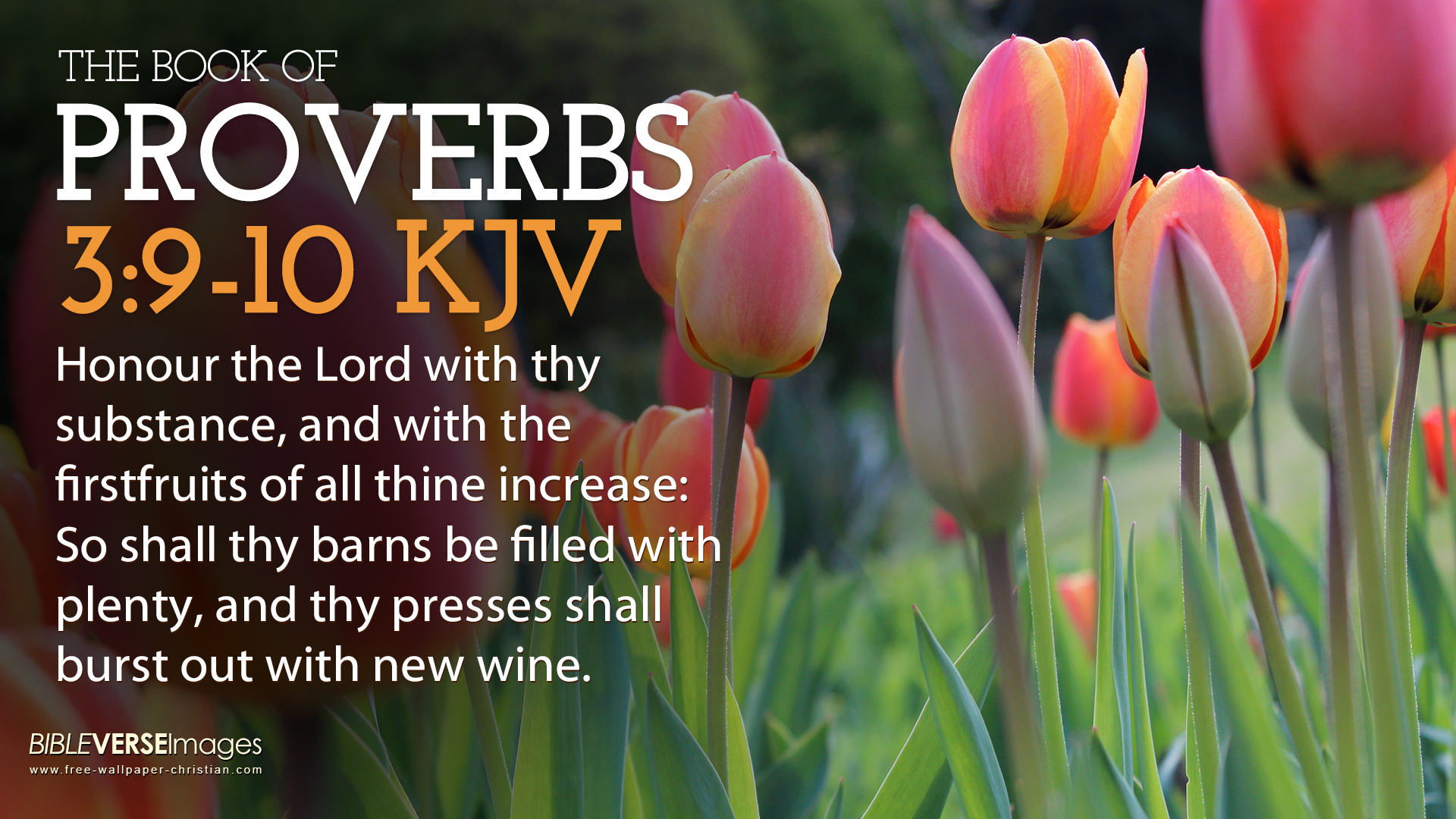 Bible-Verse-Wallpaper-proverbs-3-9-10-King-James-Version