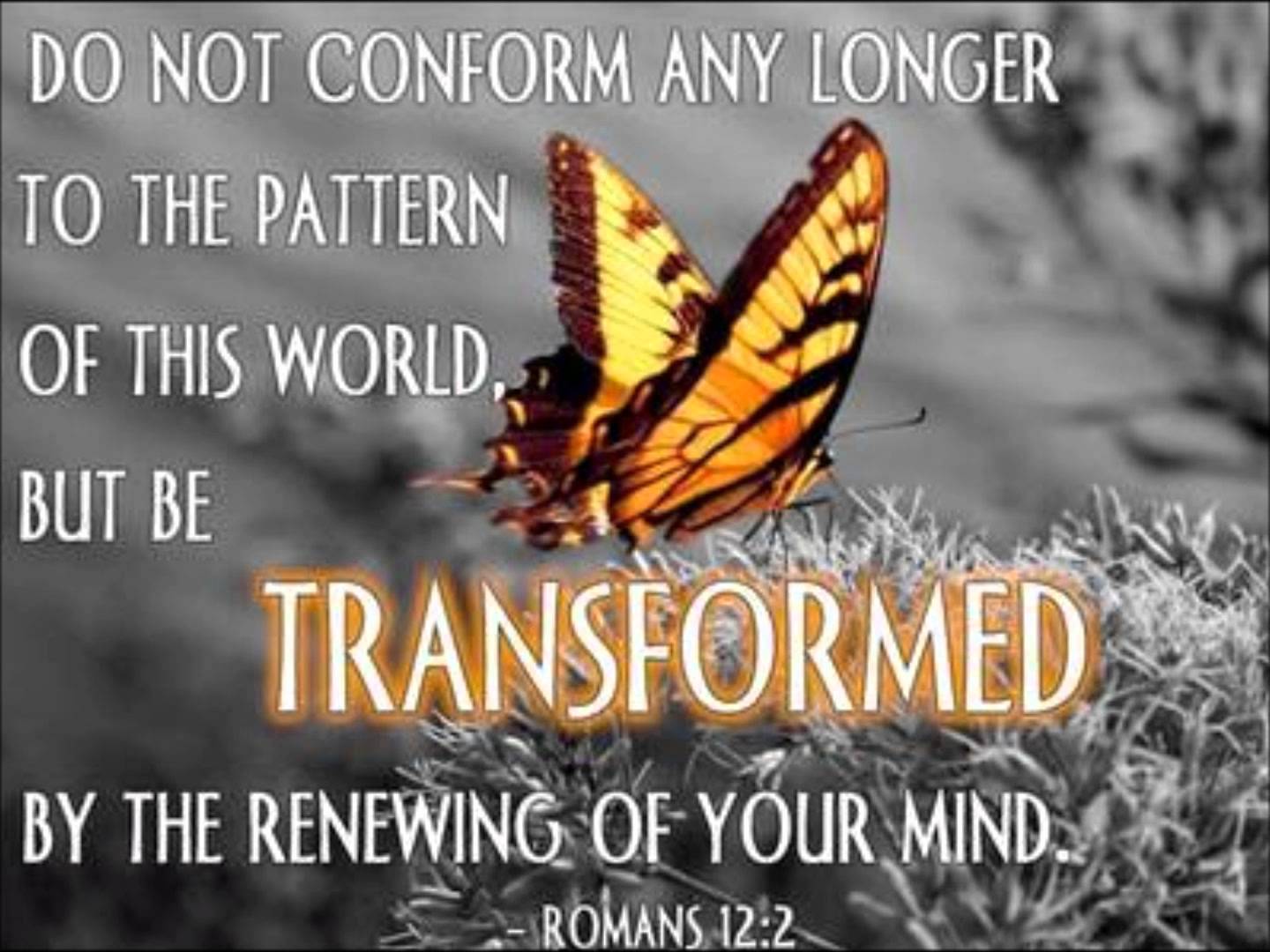 conformed-transformed